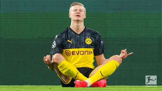 影响与启示 影响与启示